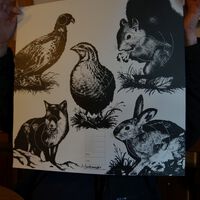 DSC06509a